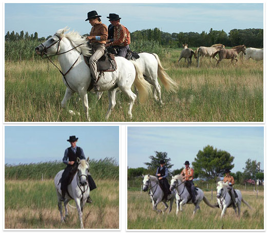 Le Mas du Grand Peloux Cheval