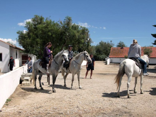 Cacharel *** - camargue.fr