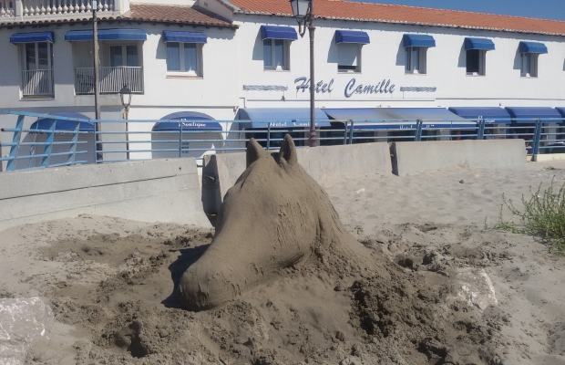 Hôtel Camille ** - camargue.fr