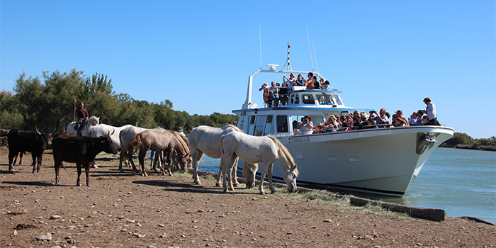 Bateau Le Camargue - camargue.fr