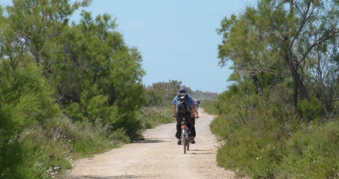 Le Vélo Saintois - camargue.fr