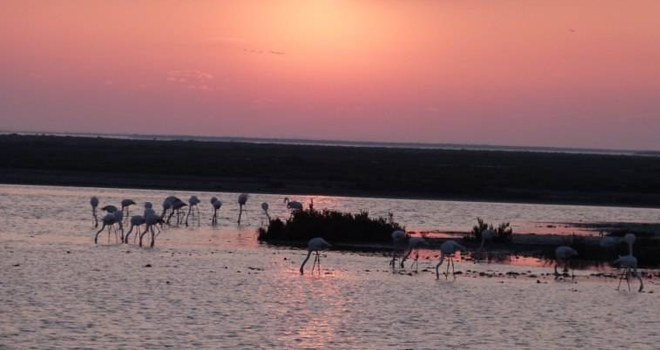 Le Vélo Saintois - camargue.fr