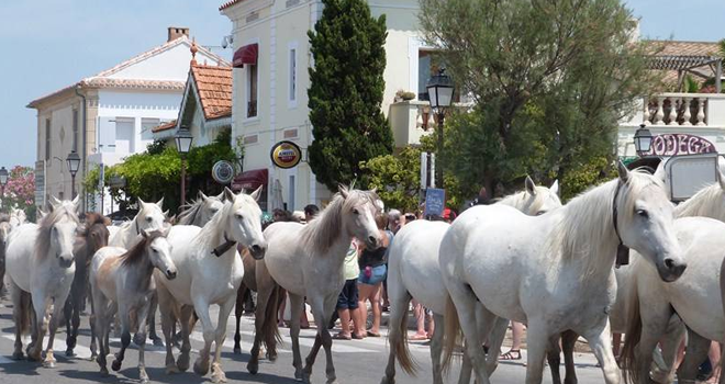 Le Vélo Saintois - camargue.fr