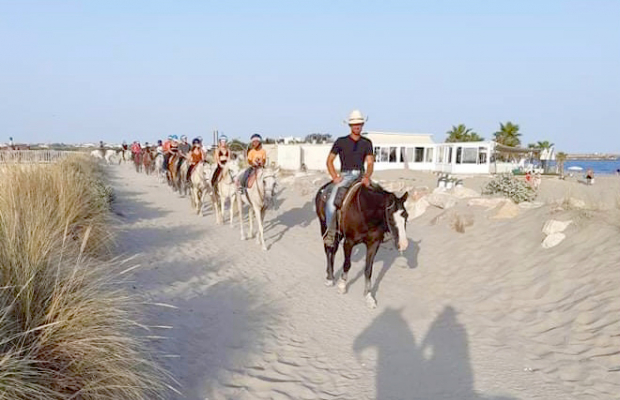 Lou Simbèu - camargue.fr