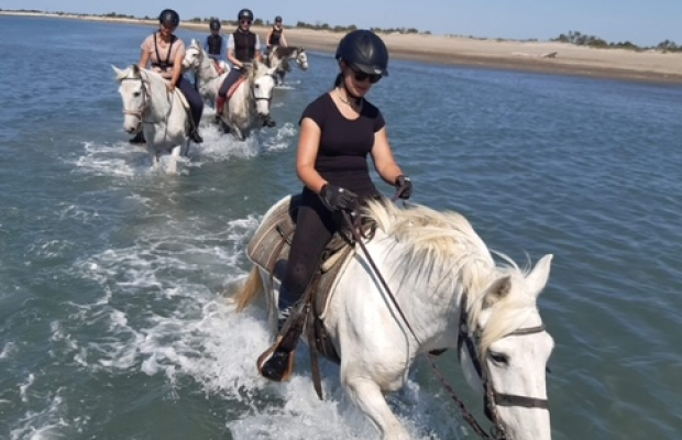 Lou Simbèu - camargue.fr