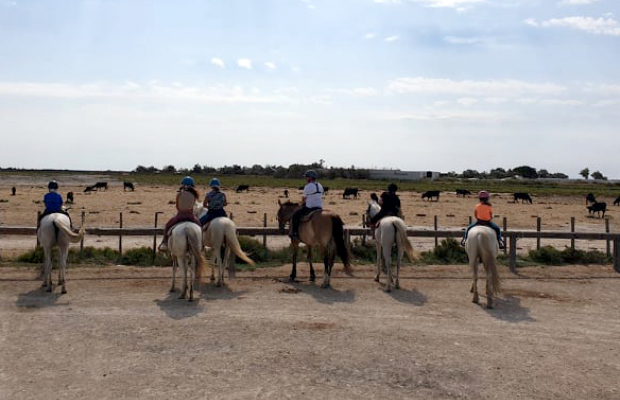 Lou Simbèu - camargue.fr