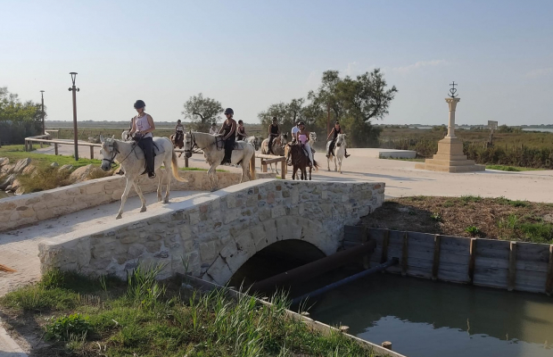 Lou Simbèu - camargue.fr