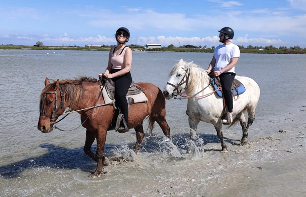 Lou Simbèu - camargue.fr