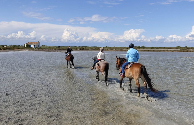 Lou Simbèu - camargue.fr