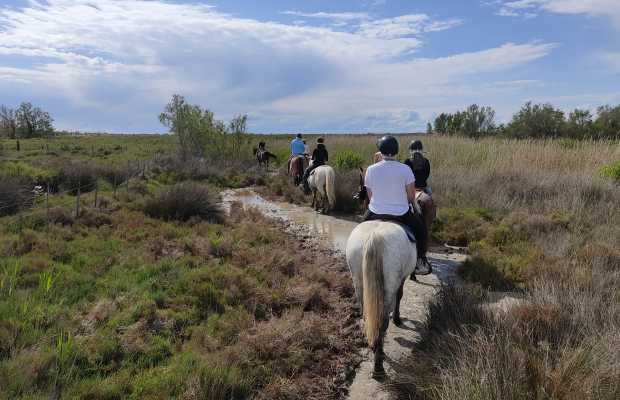 Lou Simbèu - camargue.fr