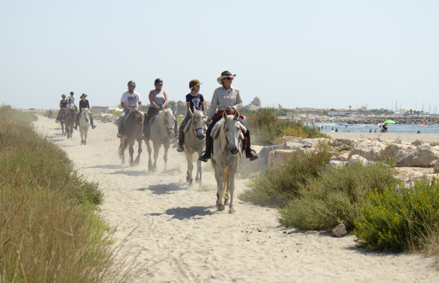 Lou Simbèu - camargue.fr