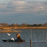 La maison du guide de Camargue