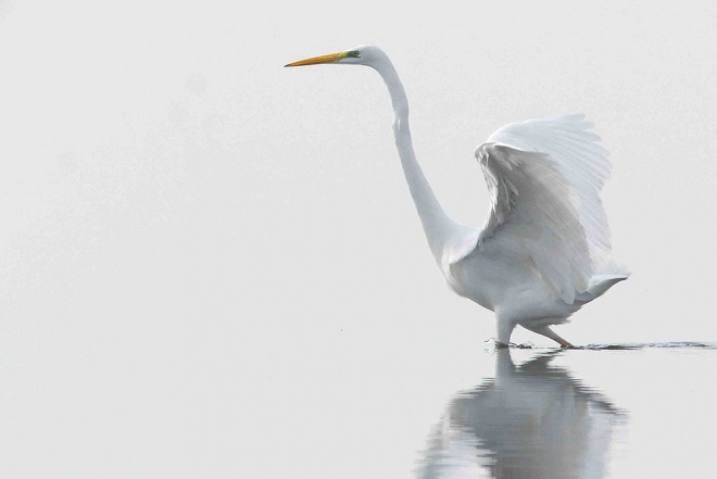 La maison du guide de Camargue - camargue.fr