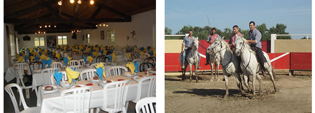 Manade Guy Allard - camargue.fr