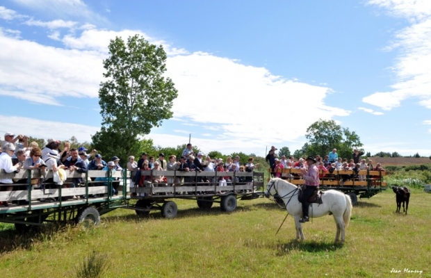 Mas De Pioch Manade Cavallini - camargue.fr