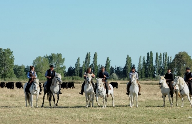 Mas De Pioch Manade Cavallini - camargue.fr