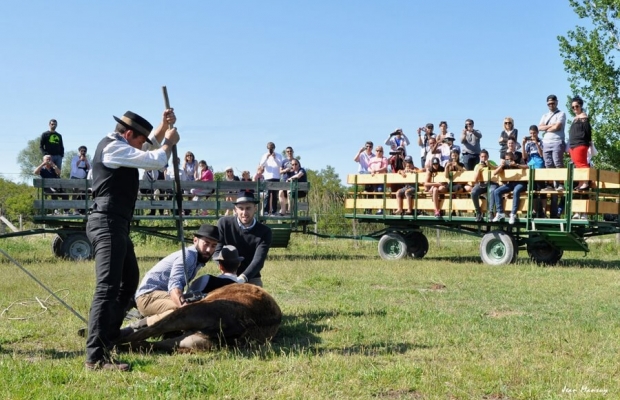 Mas De Pioch Manade Cavallini - camargue.fr