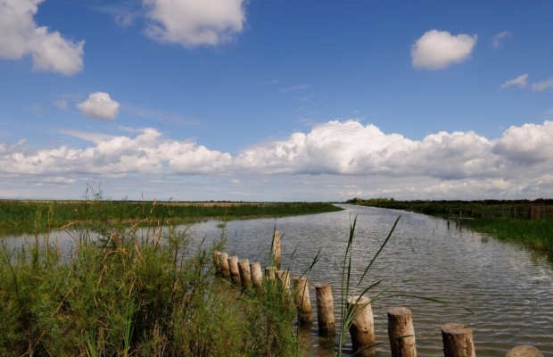 Mas De Pioch Manade Cavallini - camargue.fr