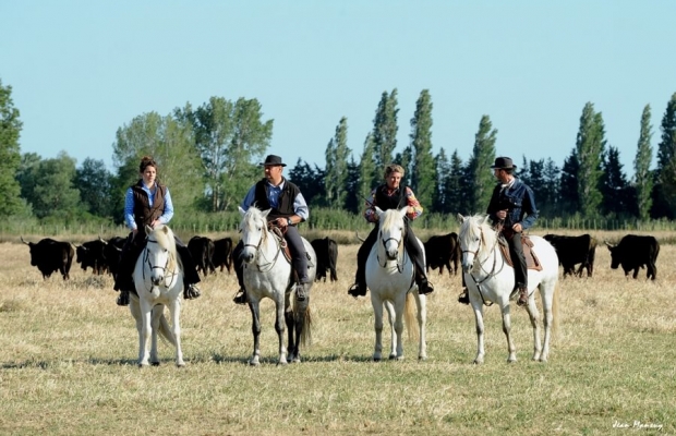 Mas De Pioch Manade Cavallini - camargue.fr