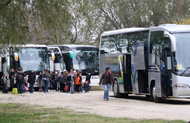 Manade Fernay - camargue.fr