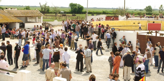 Manade Jalabert - Mas de la Chassagne - camargue.fr