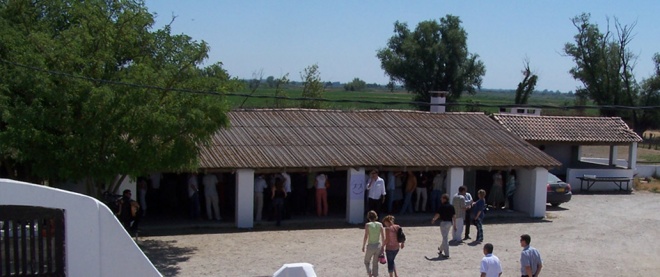 Manade Jalabert - Mas de la Chassagne - camargue.fr