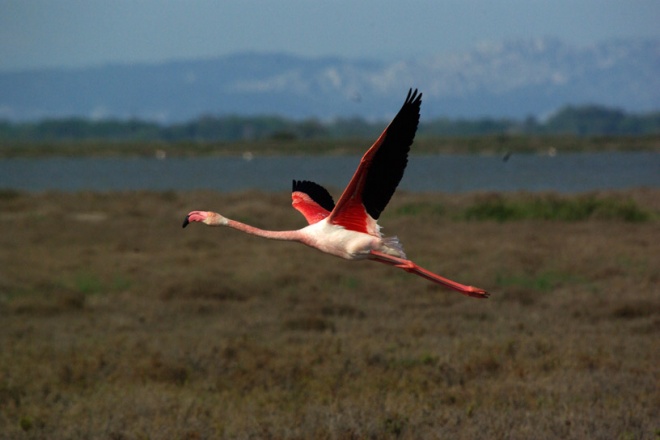 Manade Jalabert - Mas de la Chassagne - camargue.fr