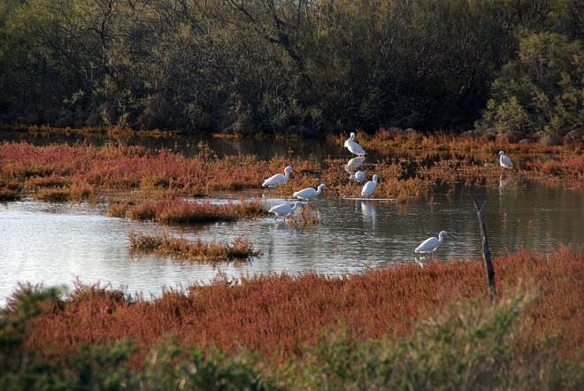 Manade Jalabert - Mas de la Chassagne - camargue.fr