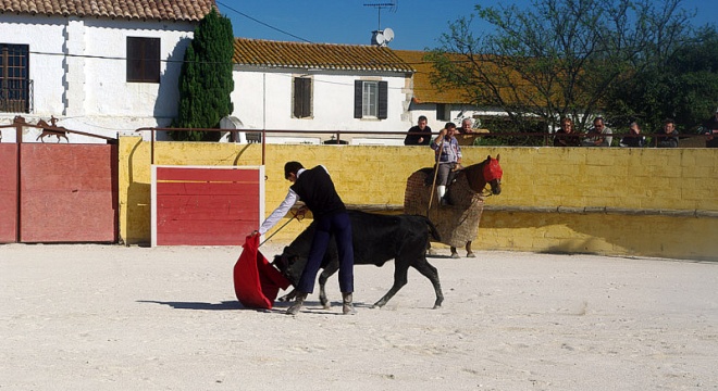 Manade Jalabert - Mas de la Chassagne - camargue.fr