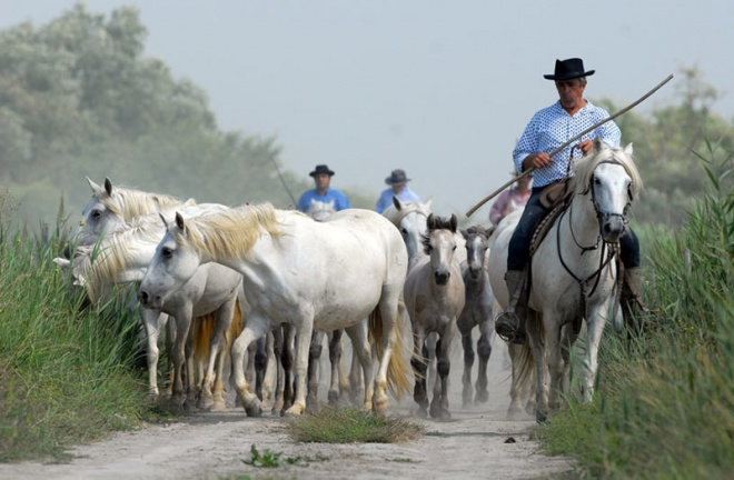 Manade Jalabert - Mas de la Chassagne - camargue.fr