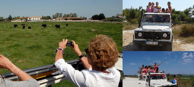 Manade Jalabert - Mas de la Chassagne - camargue.fr