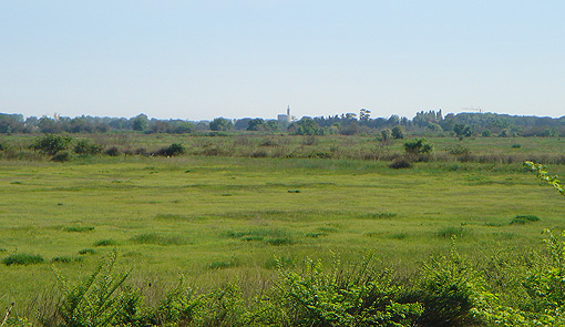 Manade de la Vidourlenque