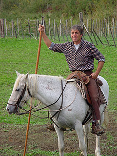 Manade de la Vidourlenque