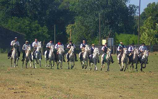 Manade de la Vidourlenque