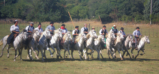 Manade de la Vidourlenque