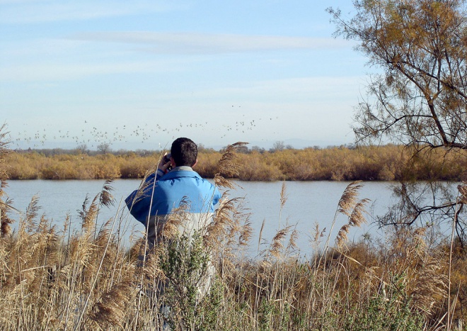 Les Marais du Vigueirat - camargue.fr