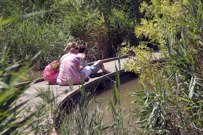 Les Marais du Vigueirat - camargue.fr