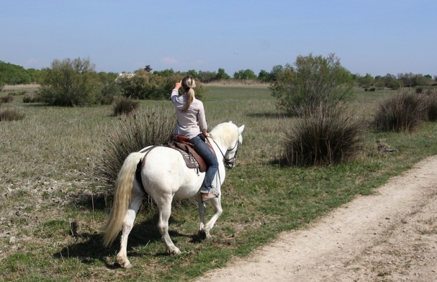 Les Marais du Vigueirat - camargue.fr