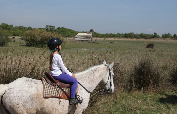 Les Marais du Vigueirat - camargue.fr