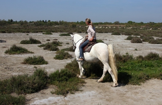 Les Marais du Vigueirat - camargue.fr