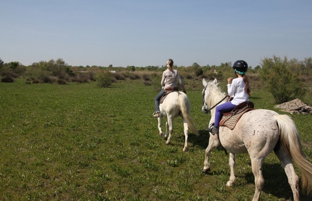 Les Marais du Vigueirat - camargue.fr