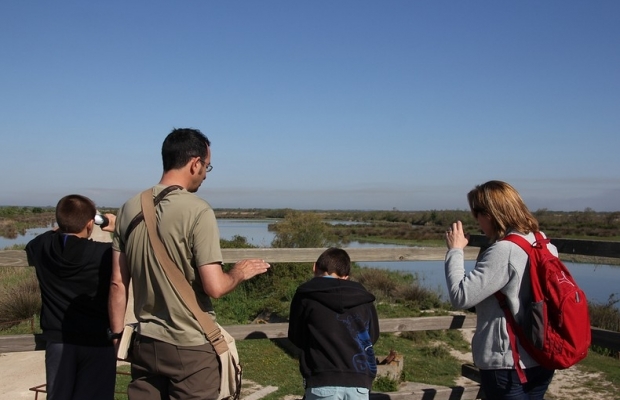 Les Marais du Vigueirat - camargue.fr