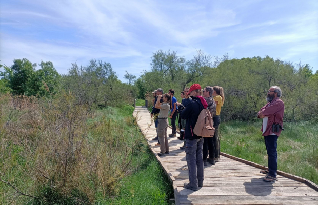 Les Marais du Vigueirat - camargue.fr