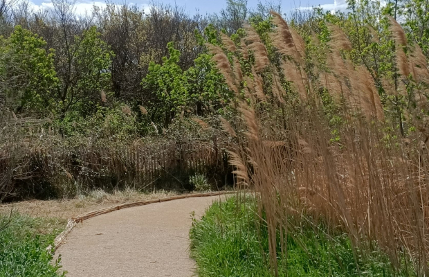 Les Marais du Vigueirat - camargue.fr