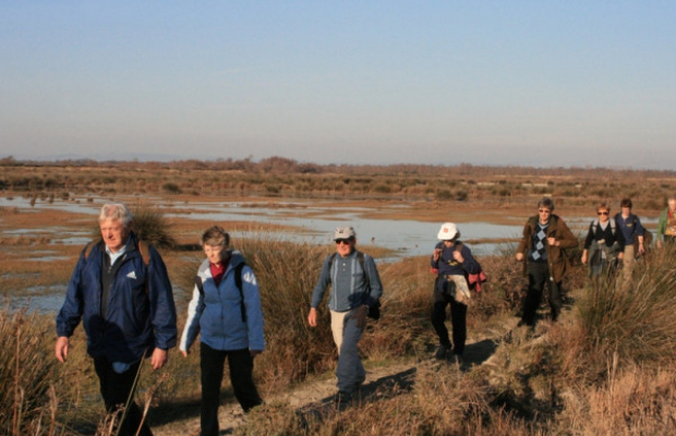 Les Marais du Vigueirat - camargue.fr