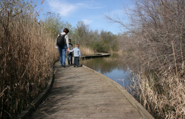 Les Marais du Vigueirat - camargue.fr