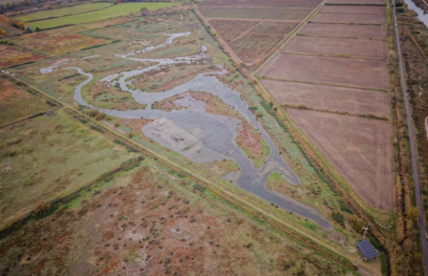 Les Marais du Vigueirat - camargue.fr