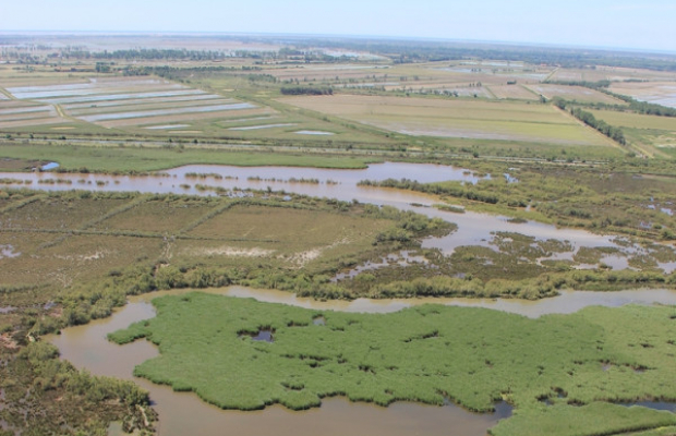 Les Marais du Vigueirat - camargue.fr