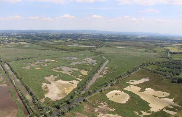 Les Marais du Vigueirat - camargue.fr