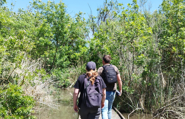 Les Marais du Vigueirat - camargue.fr